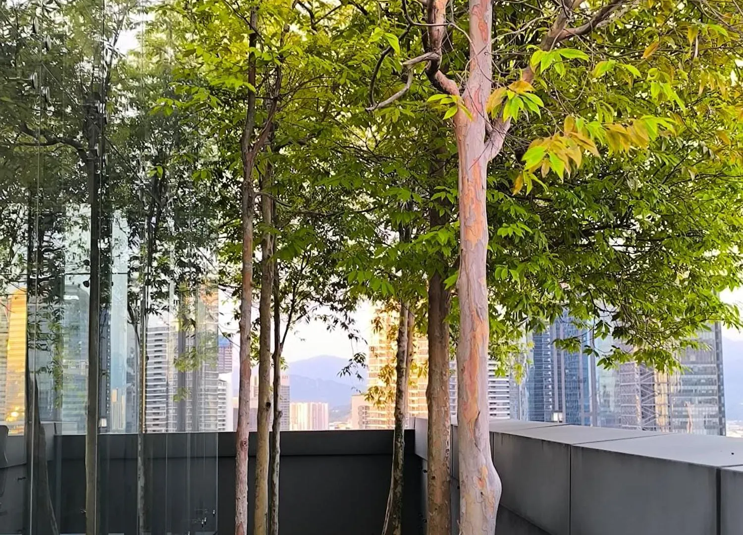 Dorsett Residence Bukit Bintang By Pavilion Kuala Lumpur Maleisië